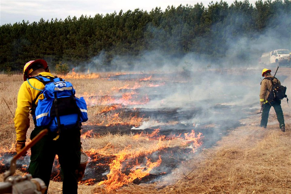 Prescribed Burning photo