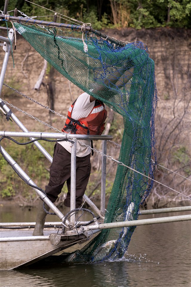 Invasive Carp Research on the James River in South Dakota. Photo: Sam Stukel (USFWS)
