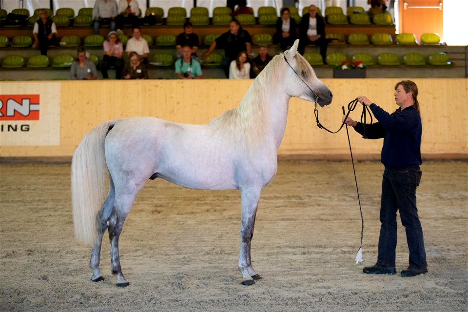 Tag-Al-Ola-Hoor_OS210698