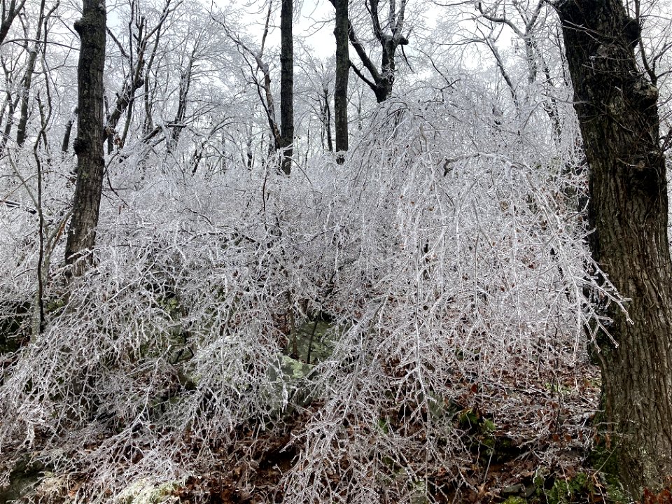 Ice Storm 2022