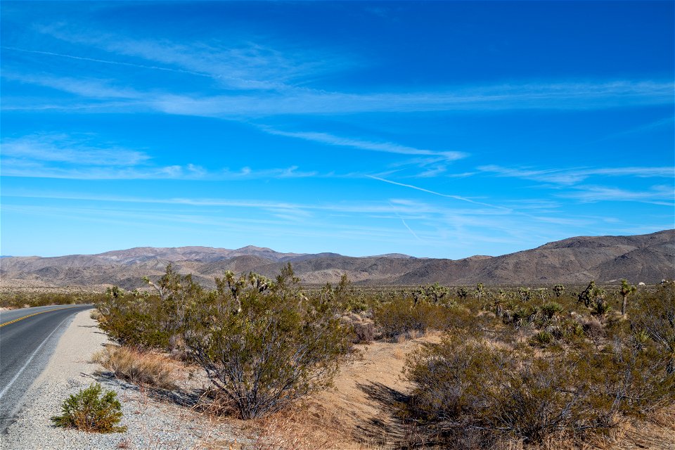 Joshua Tree National Park