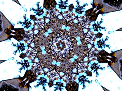 Kaleidoscope211020202427