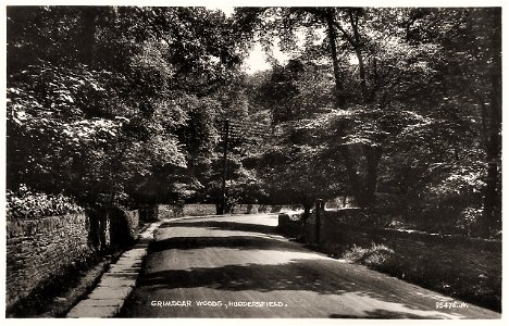 Grimscar Woods, Huddersfield