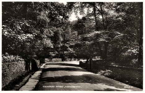 Grimscar Woods, Huddersfield photo