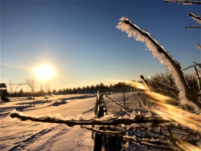 Solar Sling Shot
