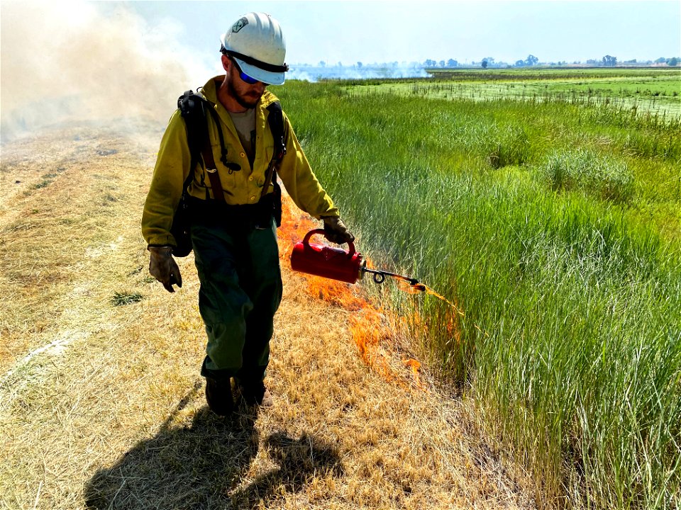 BLM’s Folsom Lake Veterans Crew perform RX Burn at Cosumnes River Preserve restoring critical habitat.