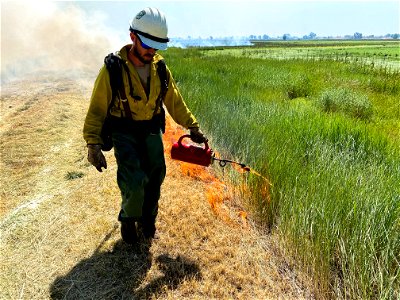 BLM’s Folsom Lake Veterans Crew perform RX Burn at Cosumnes River Preserve restoring critical habitat.