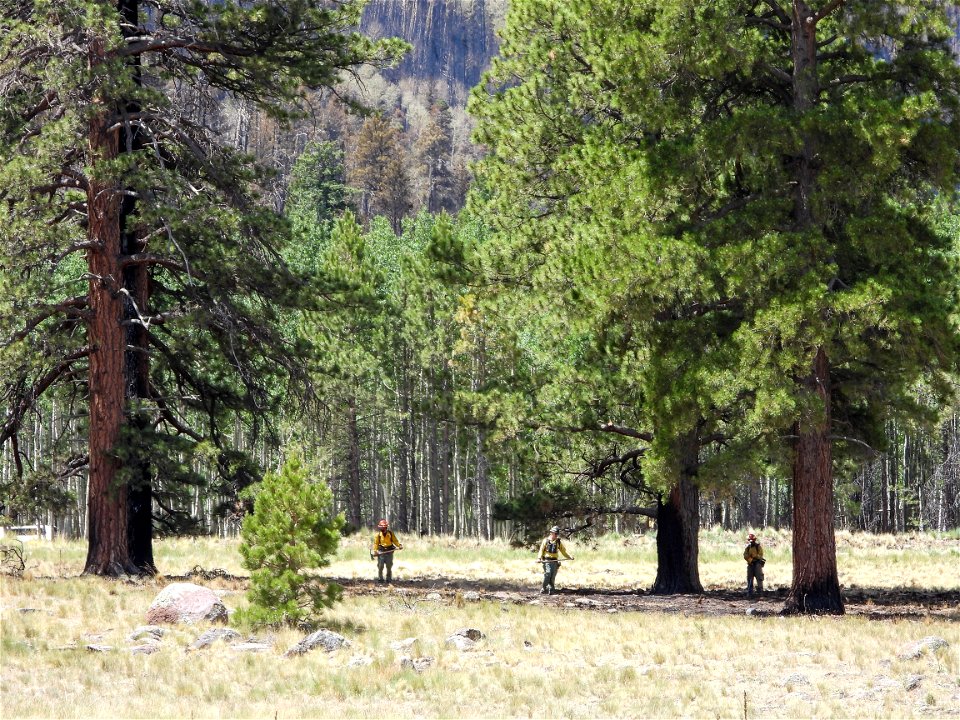 Pipeline/Haywire Fires June 2022
