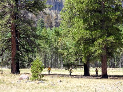 Pipeline/Haywire Fires June 2022