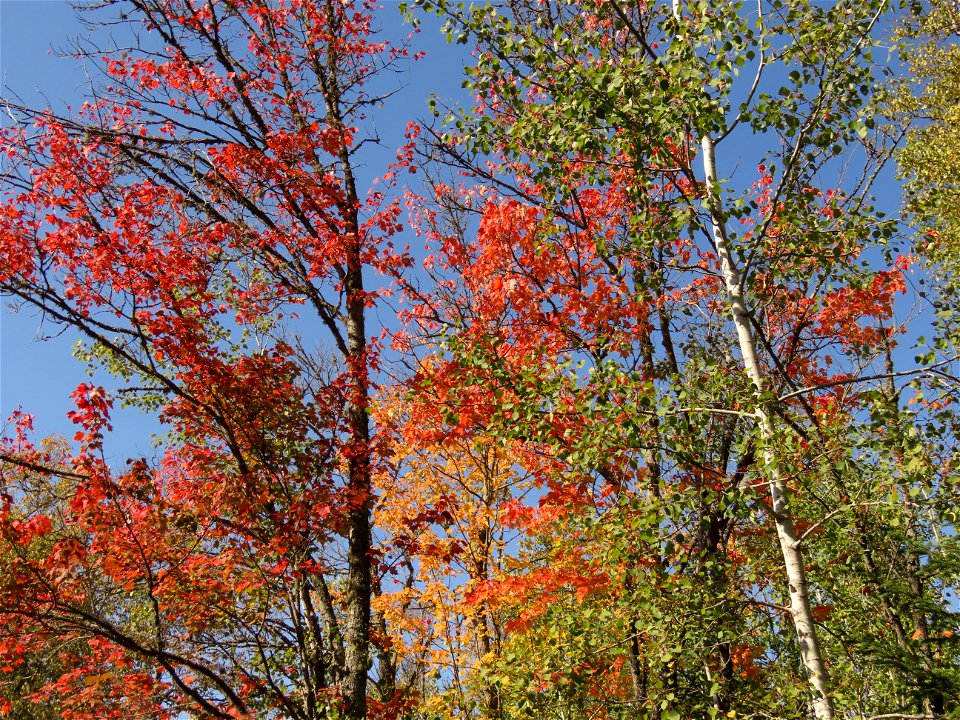 20210928-FS-Superior-SAR-015