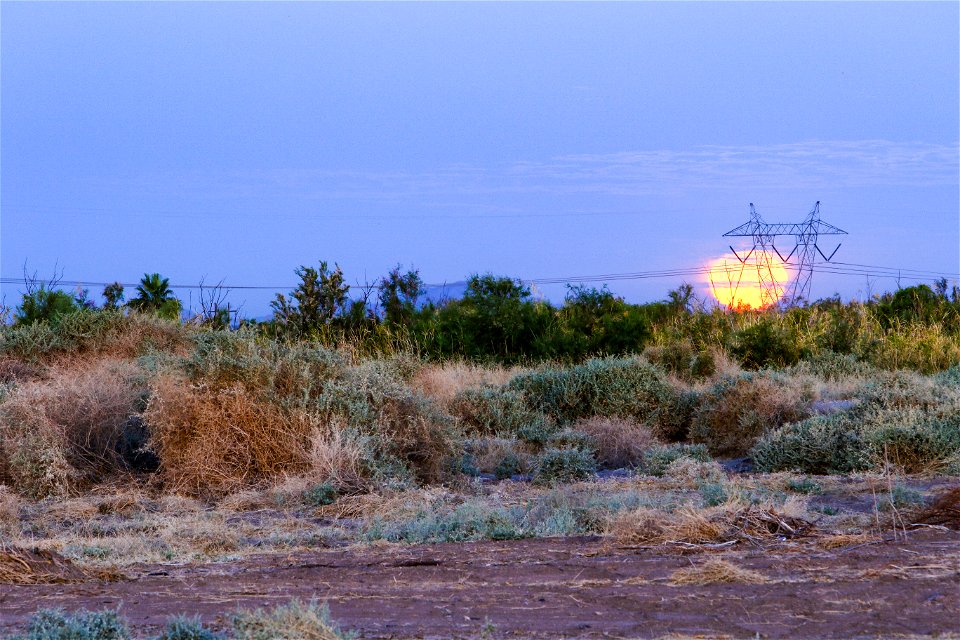 MAY 15 Moonset near Yuma