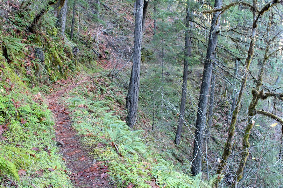 img_2087_trail9jpg_49364715307_o
