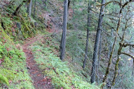 img_2087_trail9jpg_49364715307_o