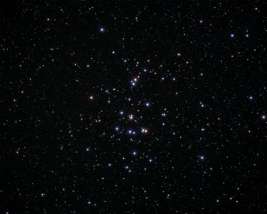 Messier 44 - Praesepe cluster photo