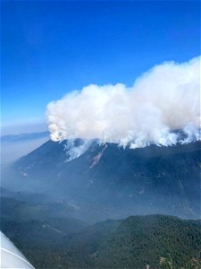 West flank Cedar Creek Fire Willamette National Forest Oregon 080722 photo