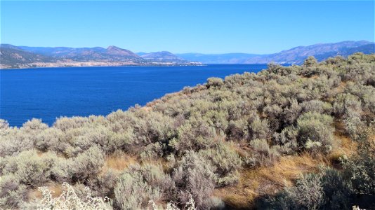 Pentiction and Naramata