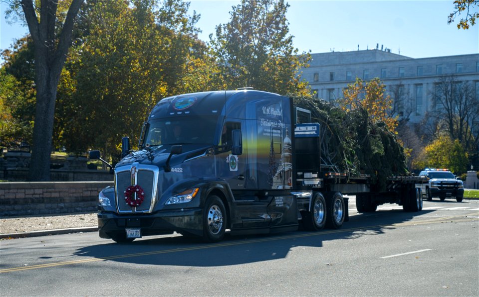 CapitolXmasTree-WashingtonDC-012