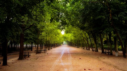 Luxembourg Gardens, Paris