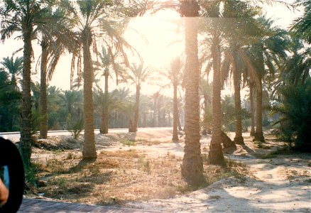 Life in Bahrain