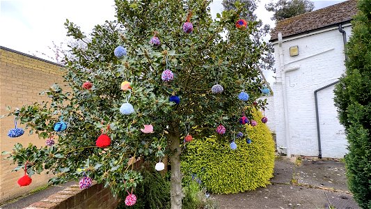 Pom-Pom tree Larkfield Methodist Church