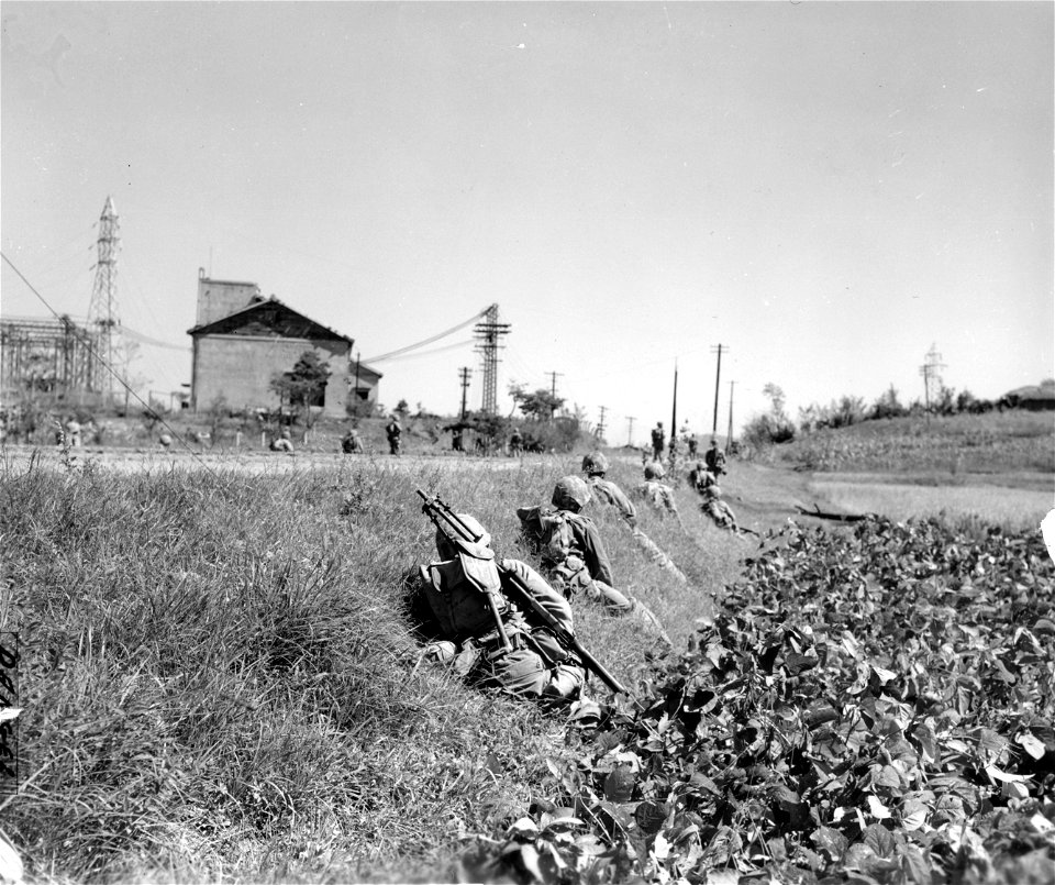 SC 349026 - 1st Div. Marines take cover along the embankment of a road as sniper fire prevents them from marching on the road. 17 September, 1950.