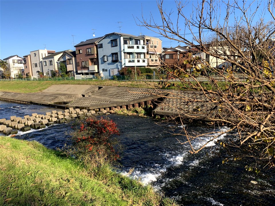 Kurome River in Ishigami, Niiza-shi, Saitama