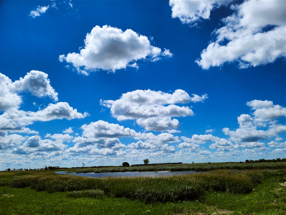 Wetland Landscape Lake Andes Wetland Management District South Dakota