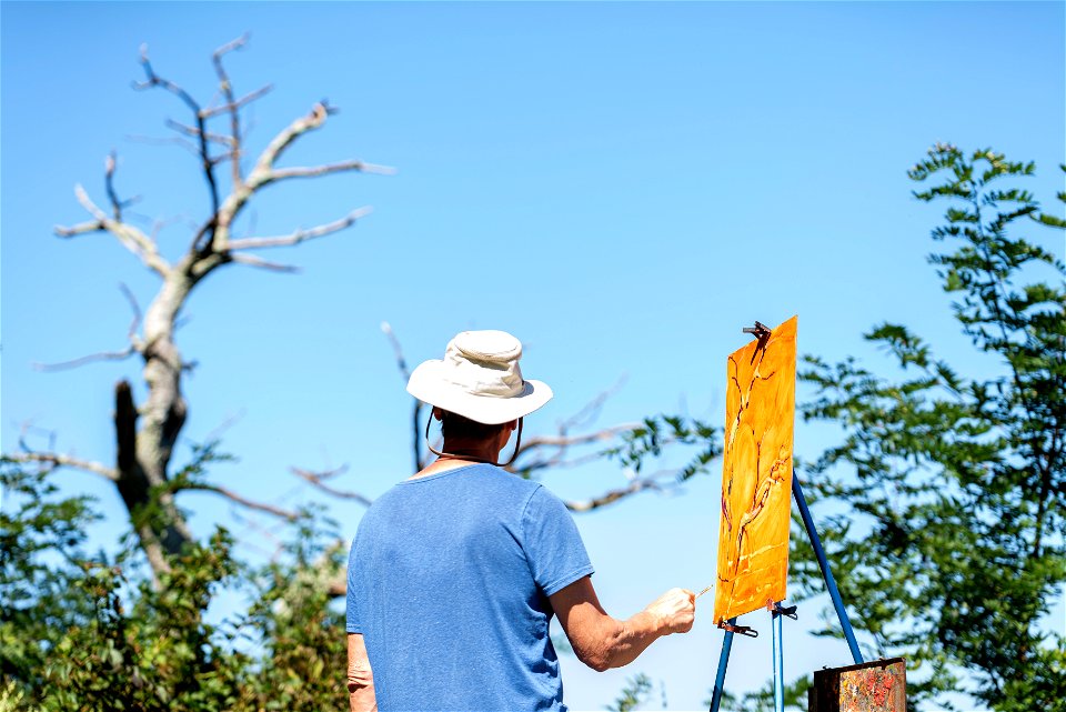 Painter at Jewell Hollow Overlook