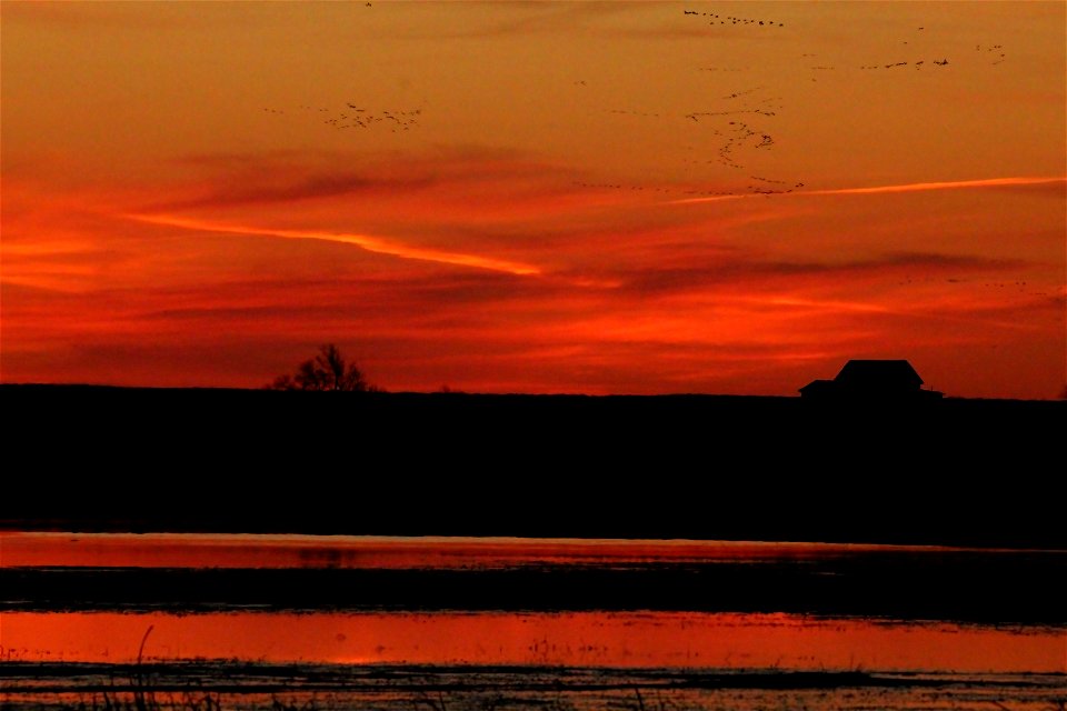 Waterfowl Migration at Sunset on the Huron Wetland Management District