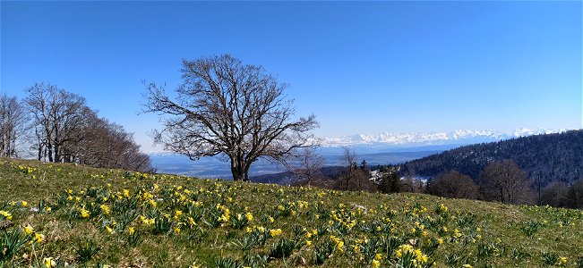 IMG_20210408_150653