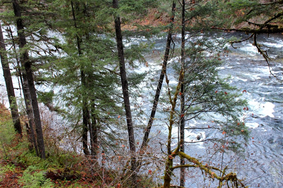 img_2199_view-of-nu-river-from-trail9jpg_49364724087_o