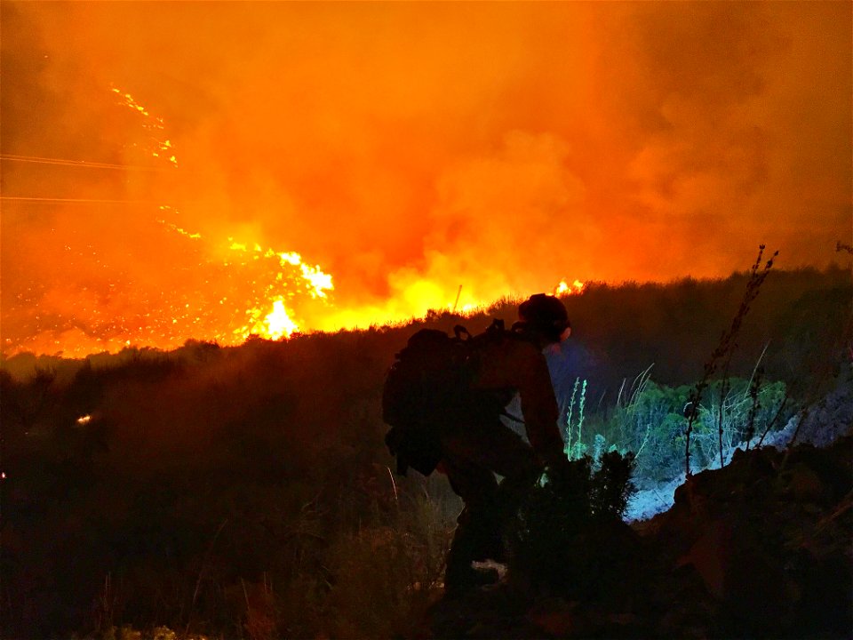 Personnel Category - USFWS 2022 Photo/Video Contest