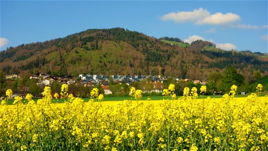 DSC09372