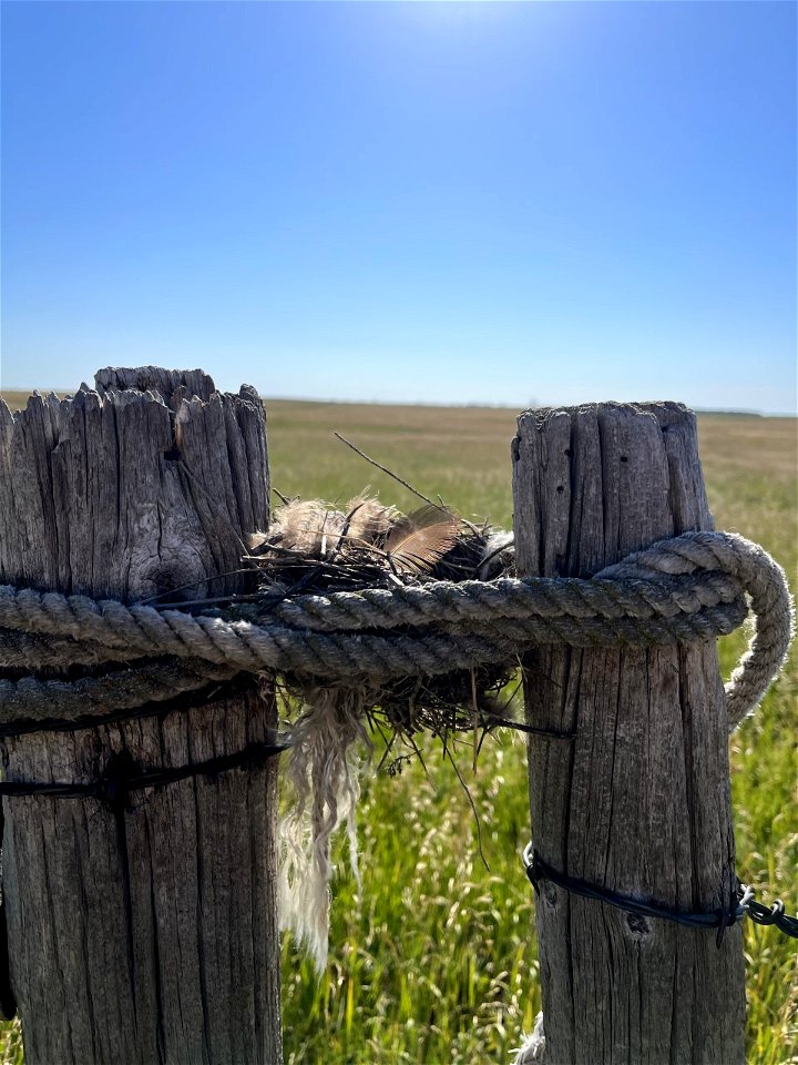 Bird Nest Lake Andes Wetland Management District South Dakota photo