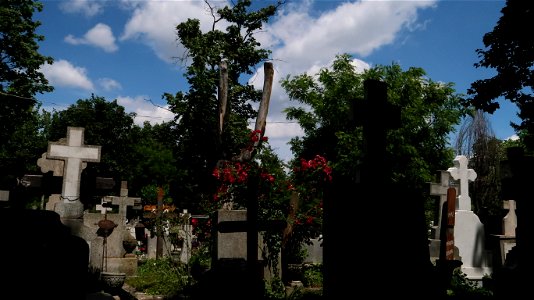 Bellu_cemetery (54) photo