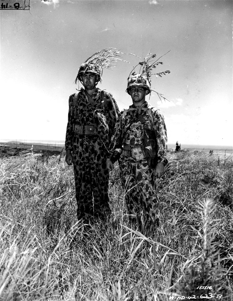 SC 151516 - The Army's new camouflage is worn here by Pvt. Bradigan and Sgt. Platt.