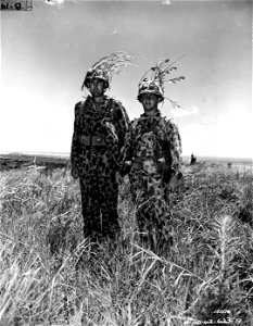 SC 151516 - The Army's new camouflage is worn here by Pvt. Bradigan and Sgt. Platt. photo