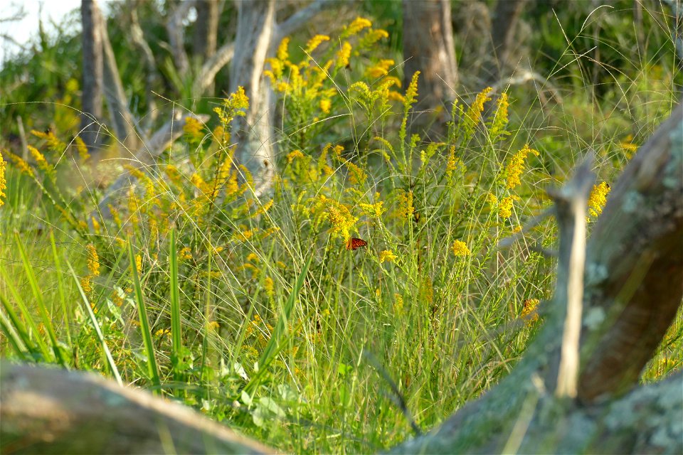 P1940675