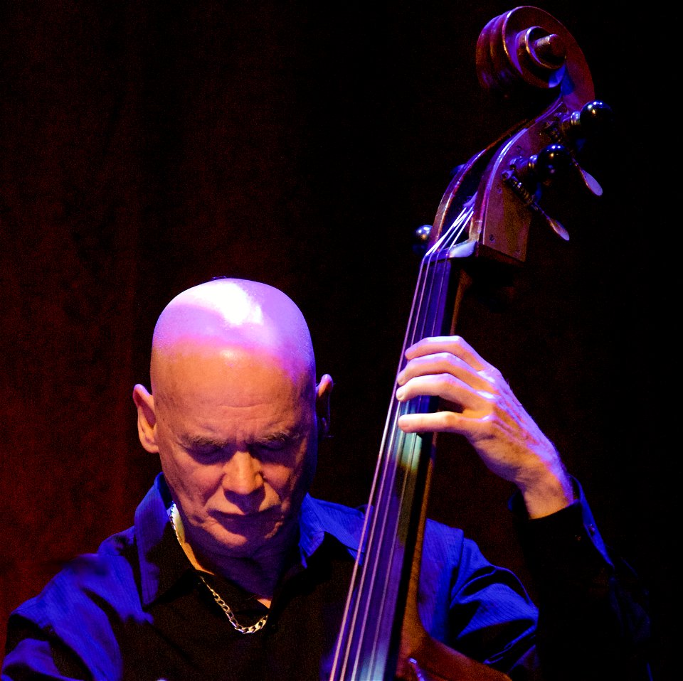Erik Friedlander's Throw a Glass, 6 april 2019 Transition Tivoli Vredenburg - Mark Helias
