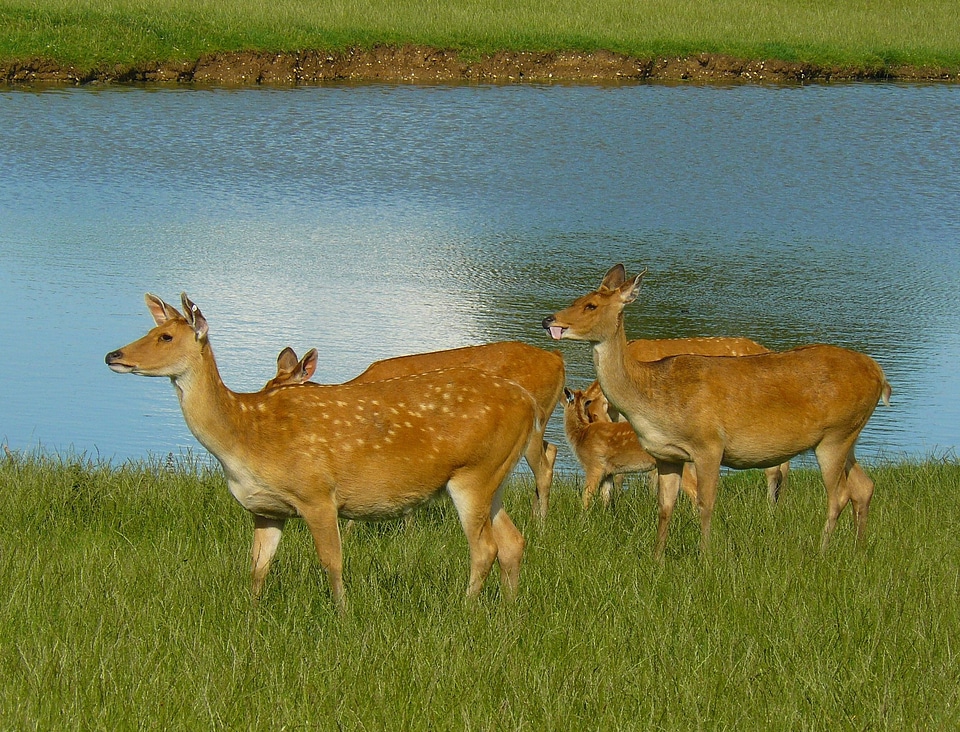 Nature outside lake photo