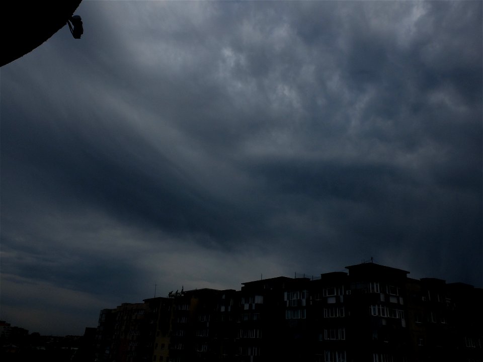 nori-Vitan2015_0520_172646