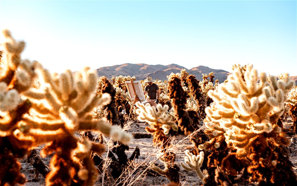 Artist Painting in Cholla Cactus Garden