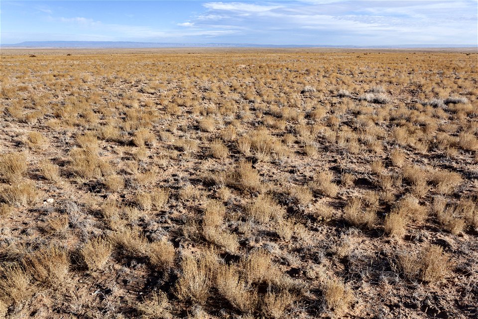 Otero Mesa