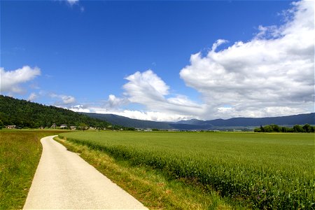 IMG_2805
