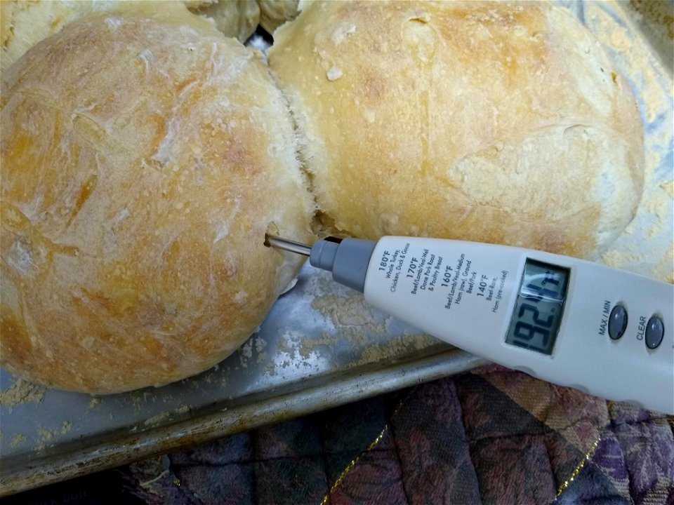 Measuring Sourdough Bread temperature for doneness photo