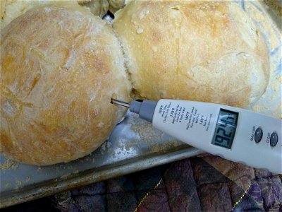 Measuring Sourdough Bread temperature for doneness photo