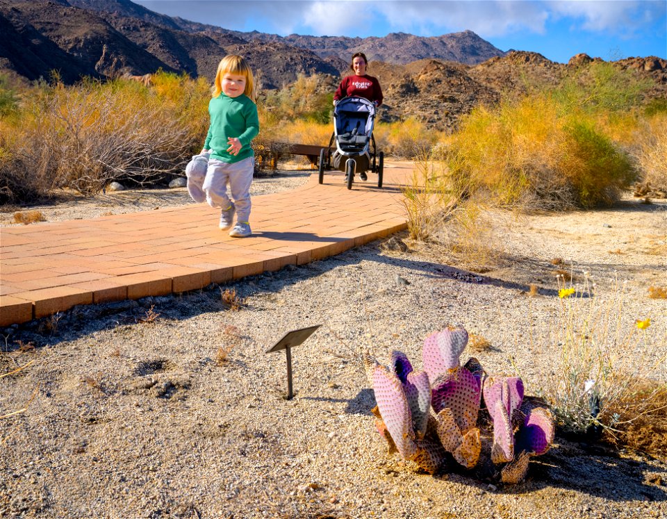 Santa Rosa San Jacinto Mountains National Monument photo