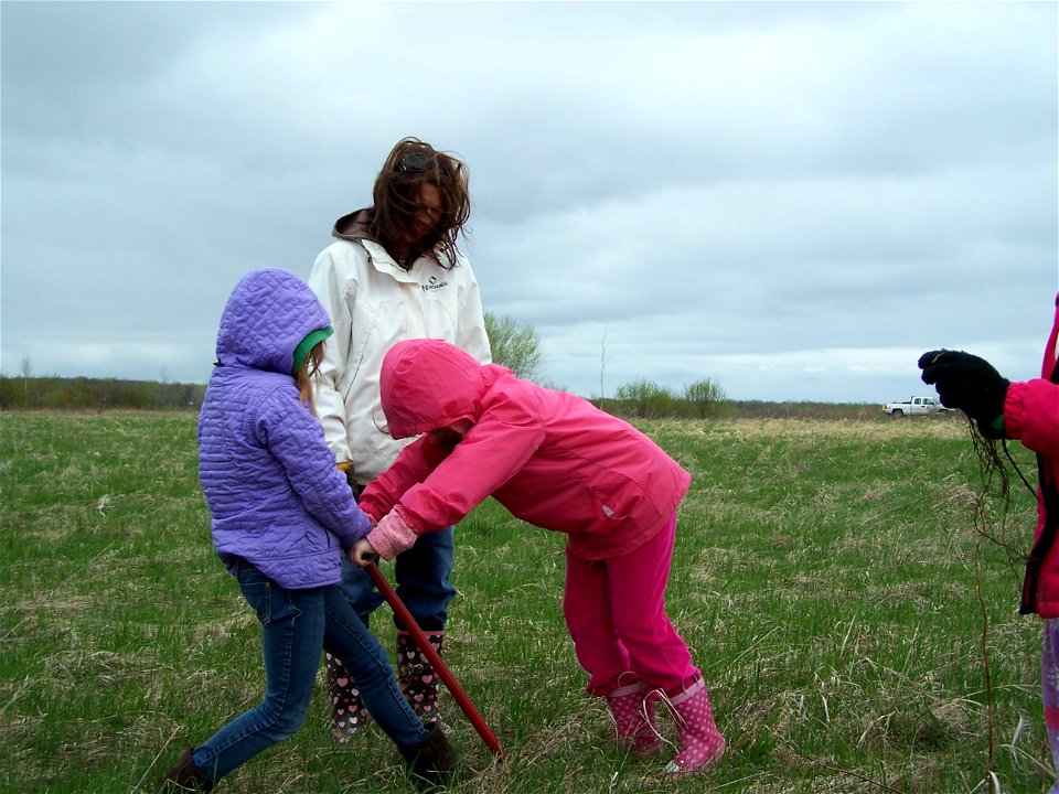 Teamwork while tree planting1