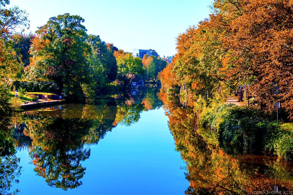 River Medway Autumn Tree Reflections