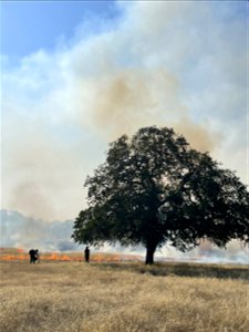 Prescribed fire near Sacramento River Bend Area
